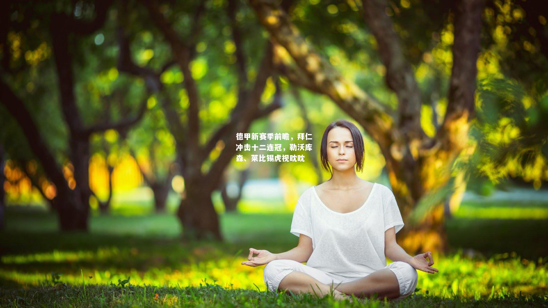 德甲新赛季前瞻，拜仁冲击十二连冠，勒沃库森、莱比锡虎视眈眈